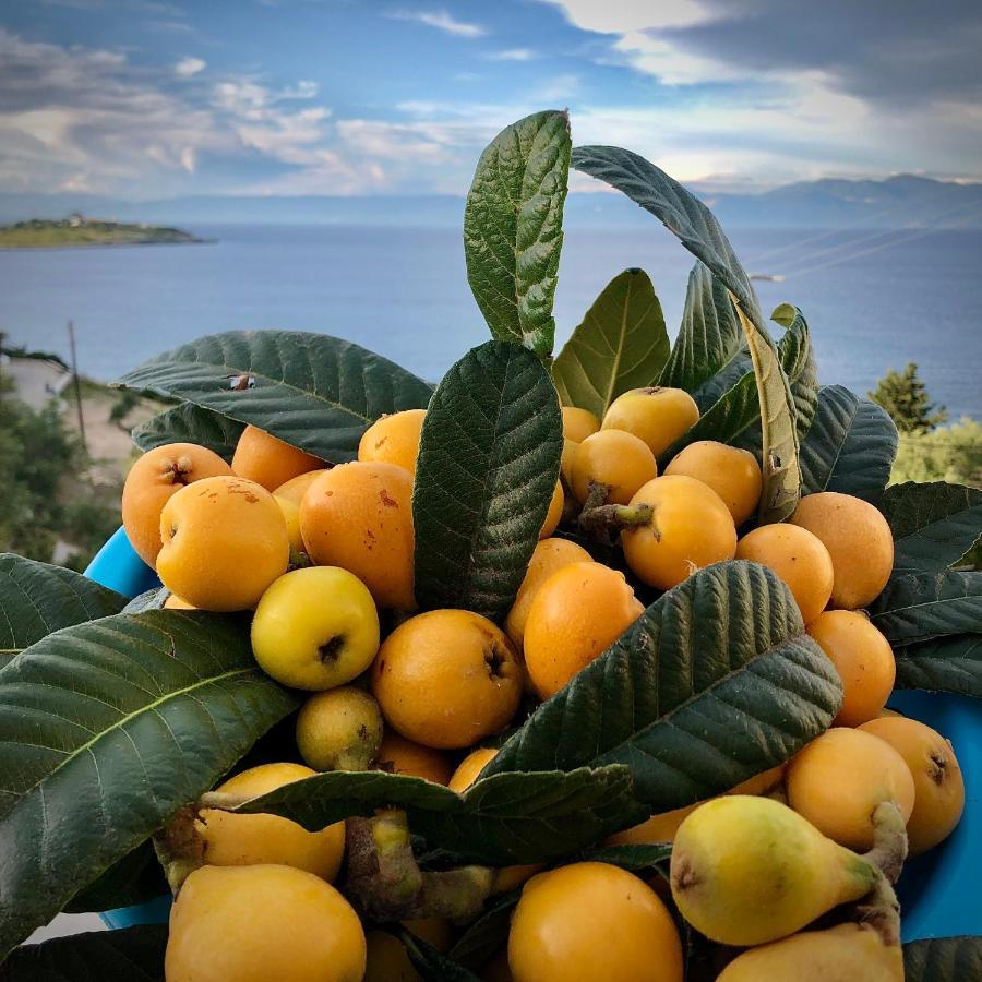 Villa Avgerini Gaios Dış mekan fotoğraf