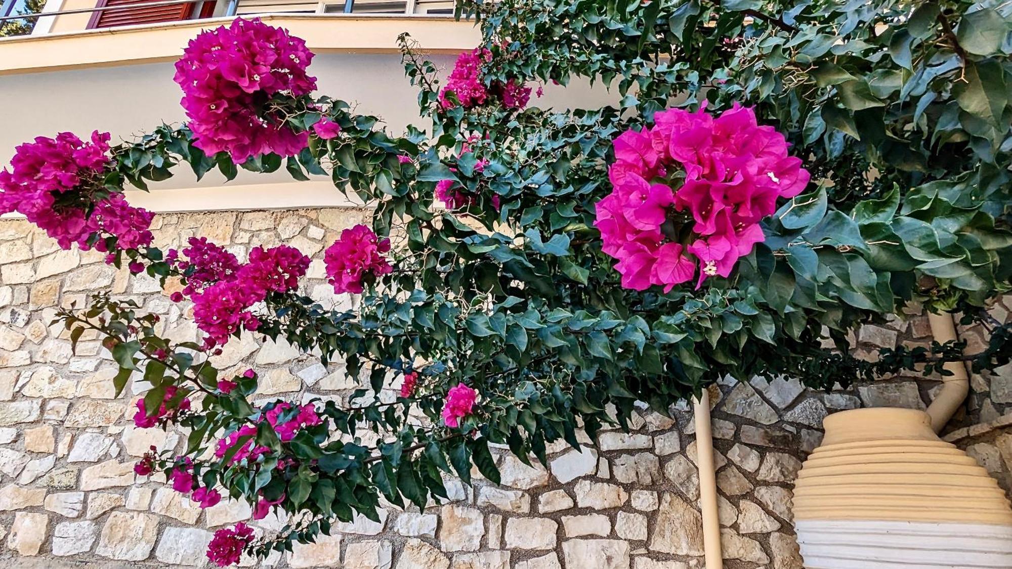 Villa Avgerini Gaios Dış mekan fotoğraf